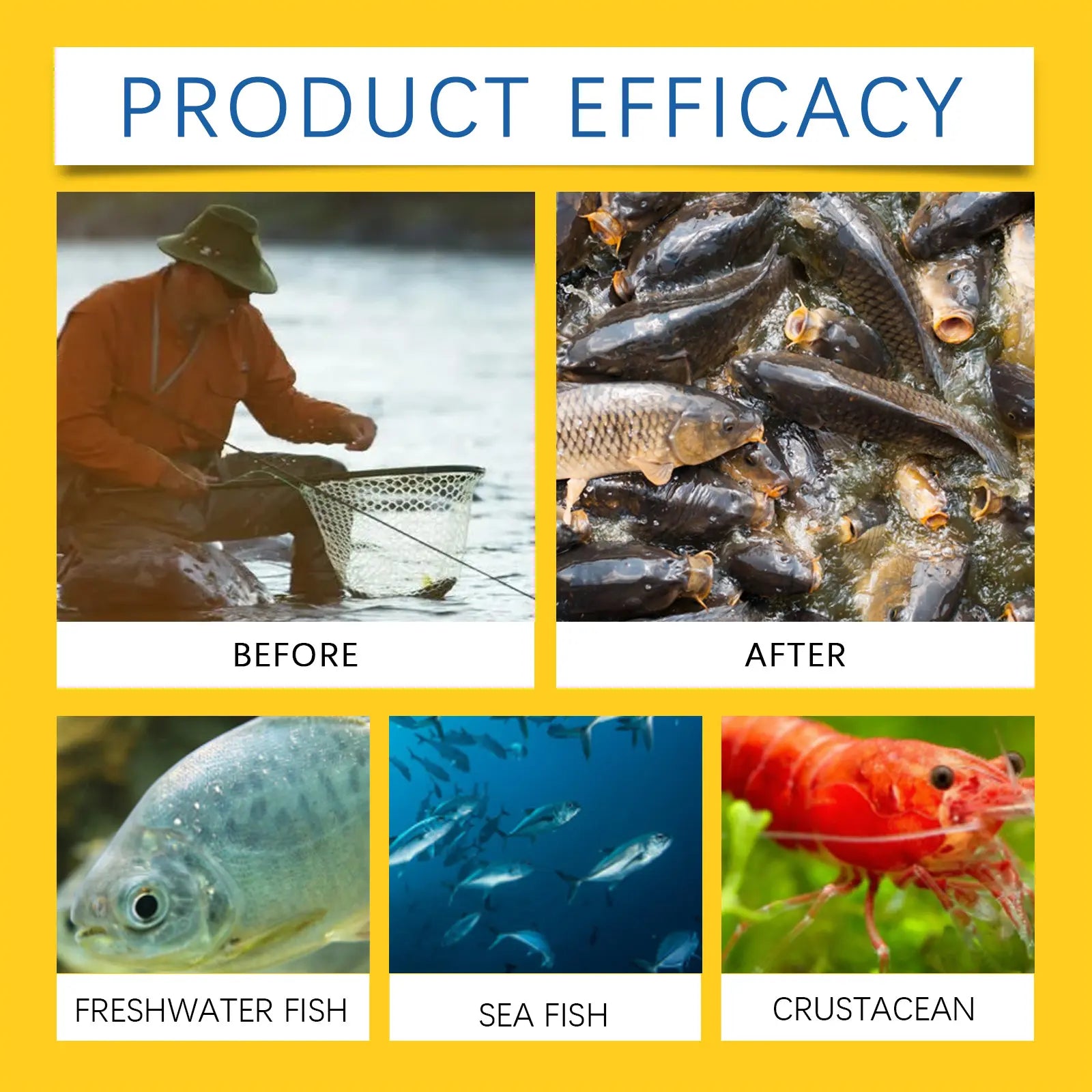 Vital-Habitat™ Concentrated Fish Attractant Liquid – Fast-Acting Red Worm Scent Booster for Freshwater Fishing, Potent Bait Additive for Bass, Carp & Trout