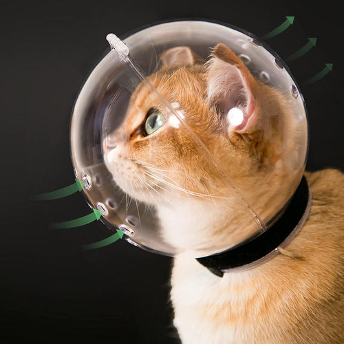 Cat Transparent Muzzle with Breathable Hood, Adjustable Kitten Astronaut Helmet Prevent from Pet Biting Chewing Grooming , Ball Mask for Aggressive Cat(L)